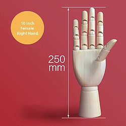 10 Inch Movable Female Right Hand Model