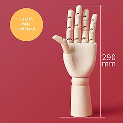 12 Inch Movable Male Left Hand Model