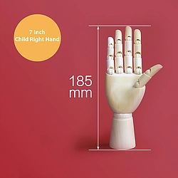 7 Inch Movable Child Right Hand Model