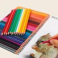12 Color Wooden Pencil